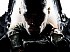 Noticia de Call of Duty: Black Ops 2