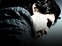 Namco Bandai distribuir&aacute; la edici&oacute;n f&iacute;sica de Alan Wake