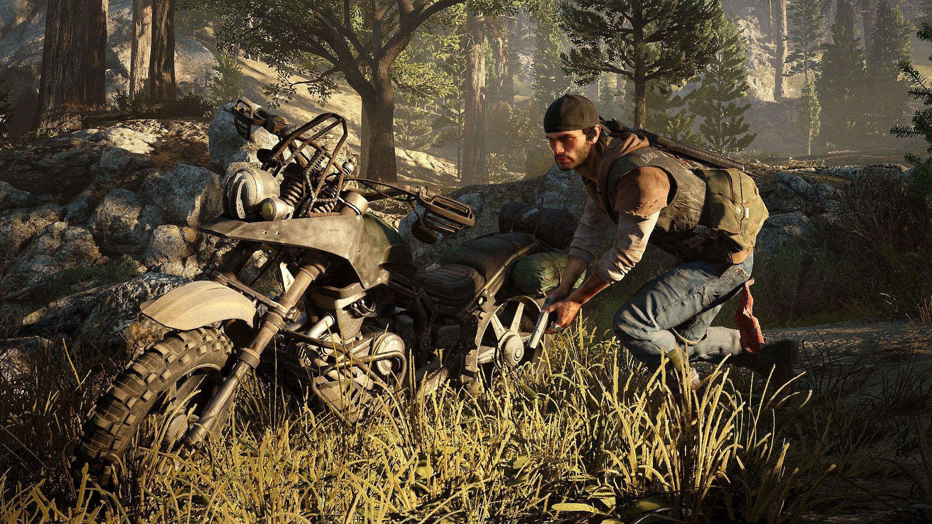 days_gone_-3420148.jpg