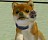 Nintendogs