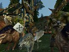 Warhammer Online