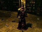 Sacred 2: Fallen Angel