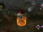Sacred 2: Fallen Angel