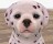 Nintendogs: D&aacute;lmata & Compa&ntilde;&iacute;a
