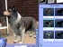 Los Sims 2 Mascotas