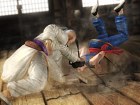 Captura Dead or Alive 5