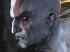 Una tienda online apunta a que God of War 4 para PS3 se estrenar&aacute; en 2012