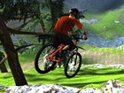 Mountain Bike Adrenaline