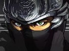 Ninja Gaiden Dragon Sword