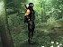Ninja Gaiden Dragon Sword