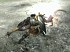 Monster Hunter 3 - Gameplay 5: De la tierra al mar