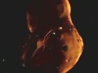 V�deo Deus Ex: Human Revolution: Debut Trailer