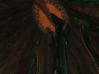 Captura Anarchy Online: Lost Eden