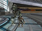 Captura Anarchy Online: Lost Eden