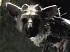 Noticia de Shadow of the Colossus