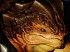 EA desmiente el rumor sobre la llegada de Mass Effect 2 y Left 4 Dead 2 a PS3
