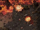Captura StarCraft 2: Heart of the Swarm