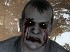 Left 4 Dead 2: Valve explica los motivos de su exclusividad en Xbox 360