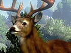 Cabela's Outdoor Adventures 2009
