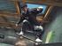 Skate 3 a la venta el d&iacute;a 14 de mayo