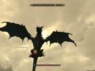 The Elder Scrolls V: Skyrim