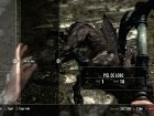 The Elder Scrolls V: Skyrim