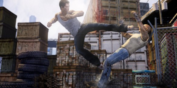 Sleeping Dogs (PlayStation 3)