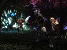 Kingdoms of Amalur: Reckoning
