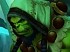 Noticia de World of Warcraft: the Burning Crusade