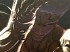Asura's Wrath