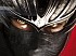 El Team Ninja se divide en dos estudios