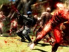 Ninja Gaiden 3