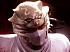 Ninja Gaiden 3