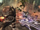 Anarchy Reigns