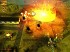 AirStrike 3D: Operation W.A.T.