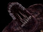 V�deo Silent Hill Collection HD: Trailer de Lanzamiento