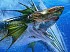 Noticia de Monster Hunter 3 Ultimate
