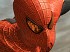The Amazing Spider-Man