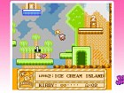 Kirby's Adventure