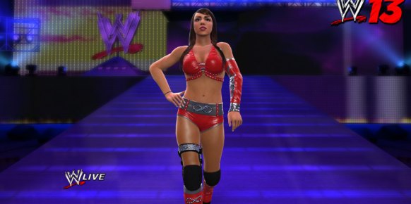 WWE 13