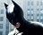 The Dark Knight Rises