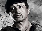 Los Mercenarios 2