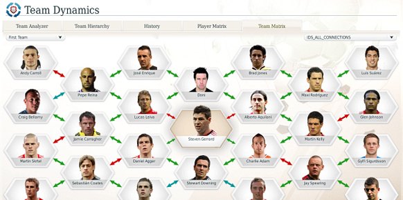 FIFA Manager 13