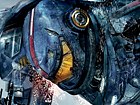Pacific Rim