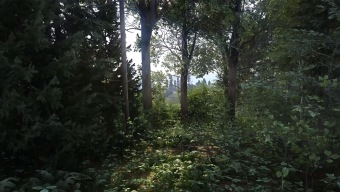 Los bosques de Kingdom Come Deliverance lucen más realistas que nunca gracias al raytracing