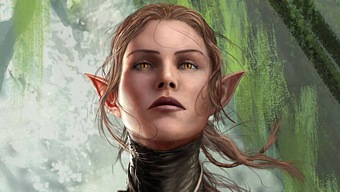 Divinity Original Sin 2 presume con humor del cross save entre Nintendo Switch y Steam