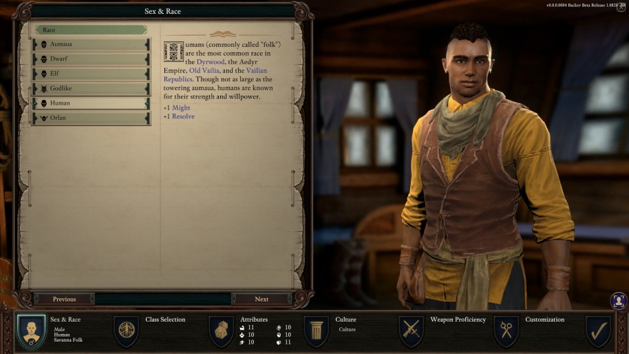 Pillars of Eternity II Deadfire PC