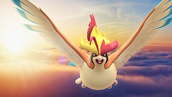 Pokémon GO recibirá la llegada de Mega Pidgeot esta semana, incluido en las Megaincursiones