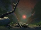 Lost Ember