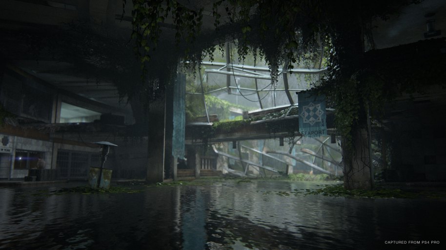 The Last of Us 2